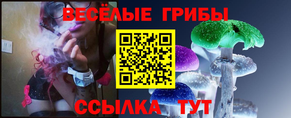 Псилоцибиновые грибы ЛСД  Вход с VPN  Славгород 