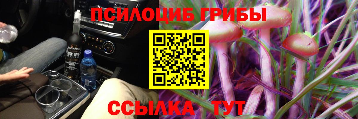 Галлюциногенные грибы MAGIC MUSHROOMS Славгород